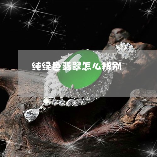 纯绿色翡翠怎么辨别/2023041204047