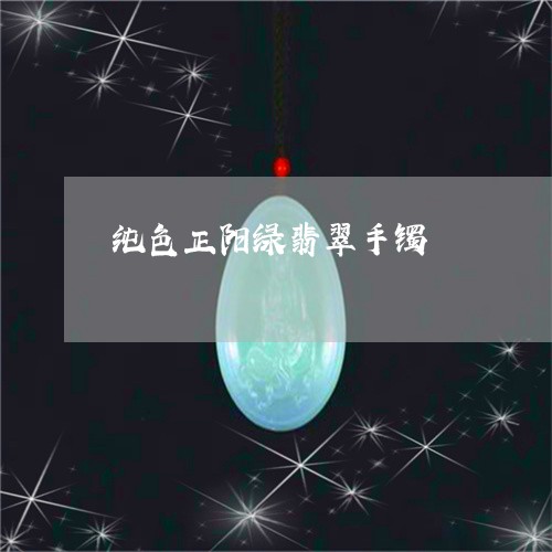 纯色正阳绿翡翠手镯/2023041258605 纯色正阳绿翡翠手镯/2023041258605