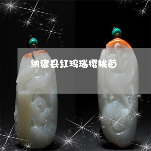 纳雍县红玛瑙樱桃苗/2023041218350 纳雍县红玛瑙樱桃苗/2023041218350