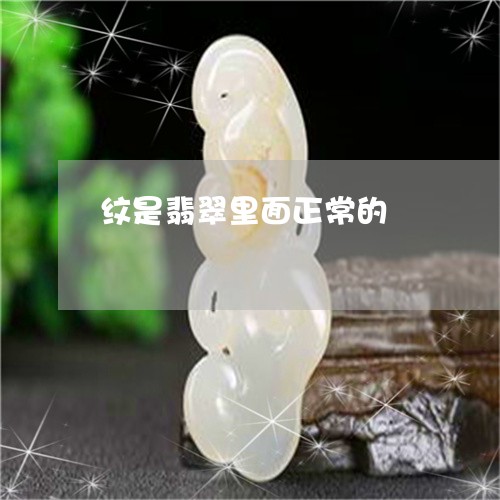 纹是翡翠里面正常的/2023041265836