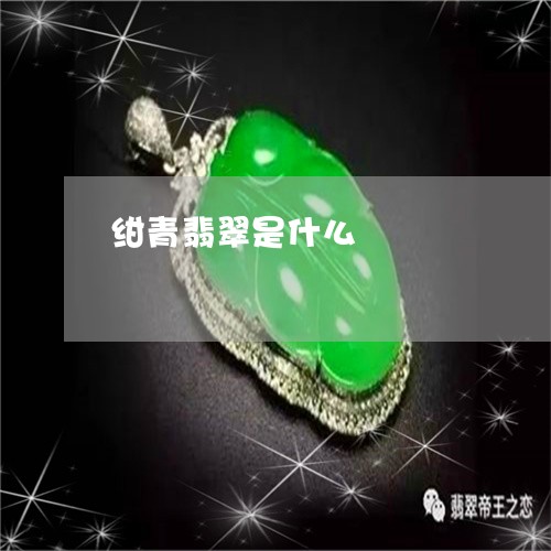 绀青翡翠是什么/2023032974927