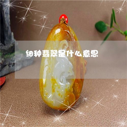 细种翡翠是什么意思/2023041300493 细种翡翠是什么意思/2023041300493