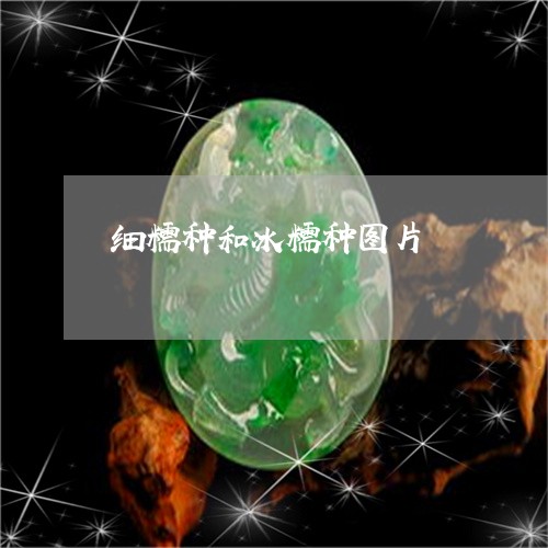 细糯种和冰糯种图片/2023041354948