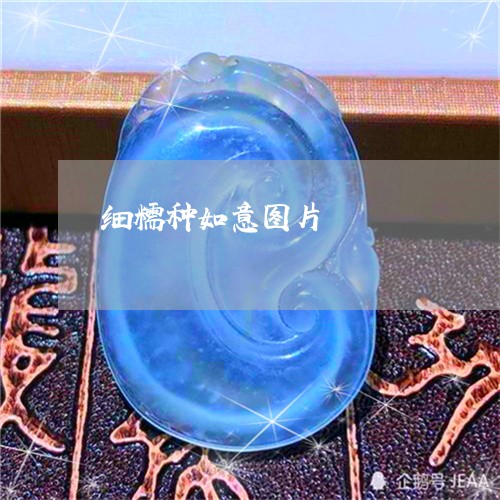 细糯种如意图片/2023032983804 细糯种如意图片/2023032983804