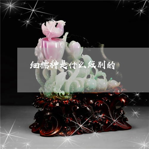 细糯种是什么级别的/2023041375958 细糯种是什么级别的/2023041375958