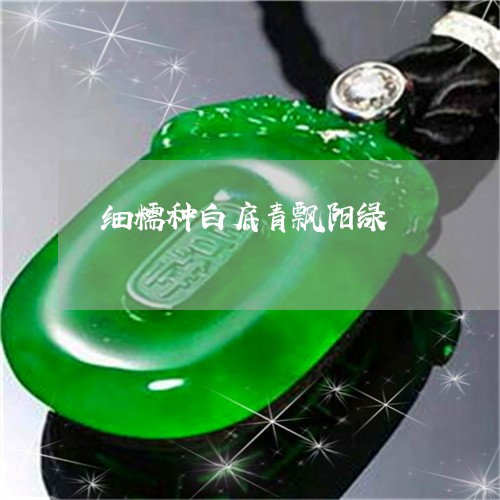 细糯种白底青飘阳绿/2023041390927 细糯种白底青飘阳绿/2023041390927