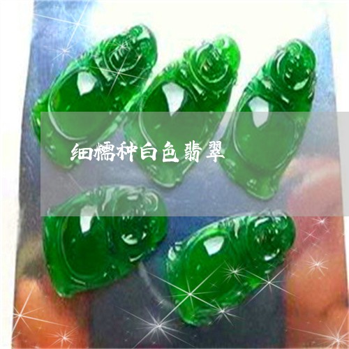 细糯种白色翡翠/2023032937168 细糯种白色翡翠/2023032937168
