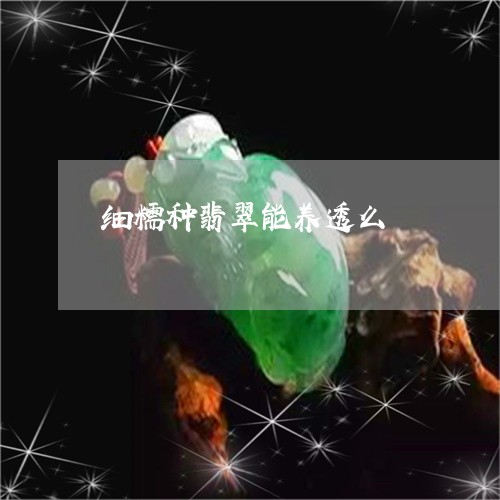 细糯种翡翠能养透么/2023041319370