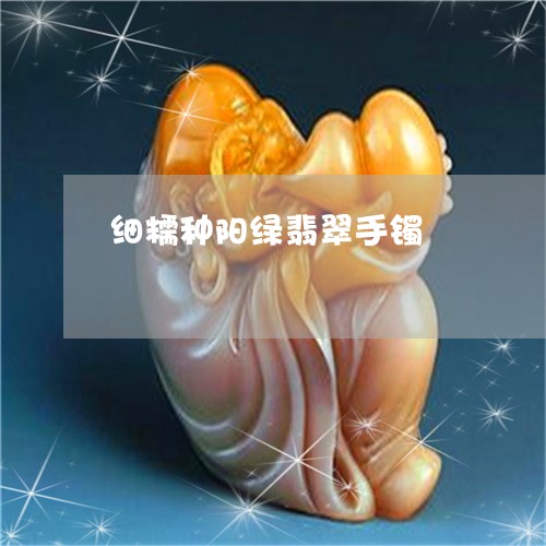 细糯种阳绿翡翠手镯/2023041373845
