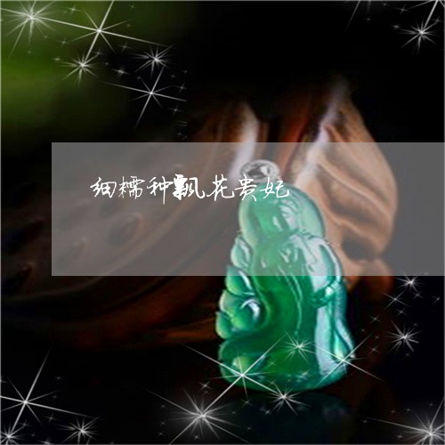 细糯种飘花贵妃/2023032940370 细糯种飘花贵妃/2023032940370