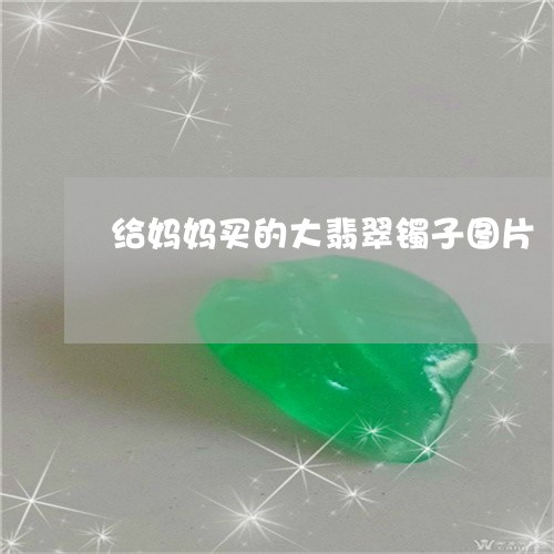 给妈妈买的大翡翠镯子图片/2023061993938 给妈妈买的大翡翠镯子图片/2023061993938