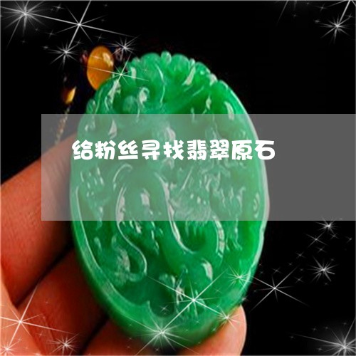 给粉丝寻找翡翠原石/2023041220647