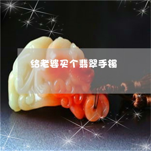 给老婆买个翡翠手镯/2023041224725