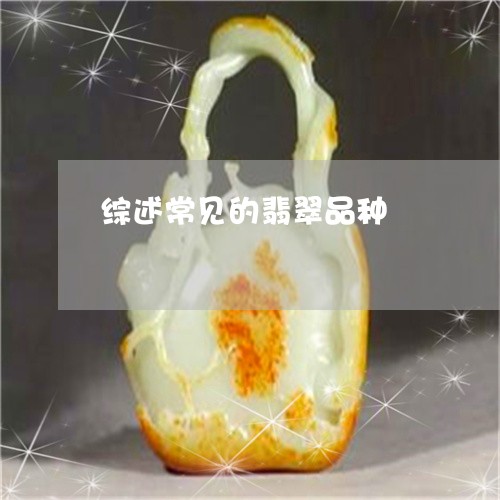 综述常见的翡翠品种/2023041263935