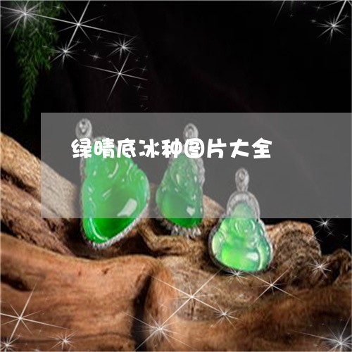 绿晴底冰种图片大全/2023041285049 绿晴底冰种图片大全/2023041285049