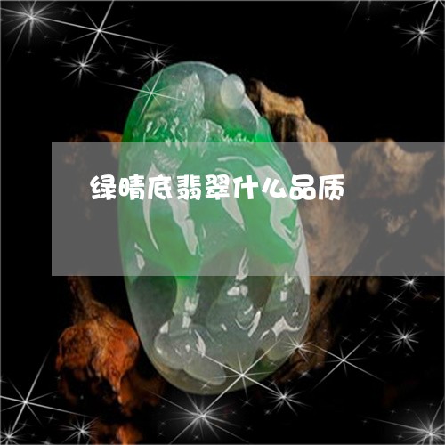 绿晴底翡翠什么品质/2023041273038