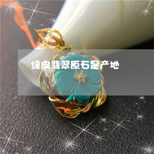 绿皮翡翠原石是产地/2023041313948 绿皮翡翠原石是产地/2023041313948