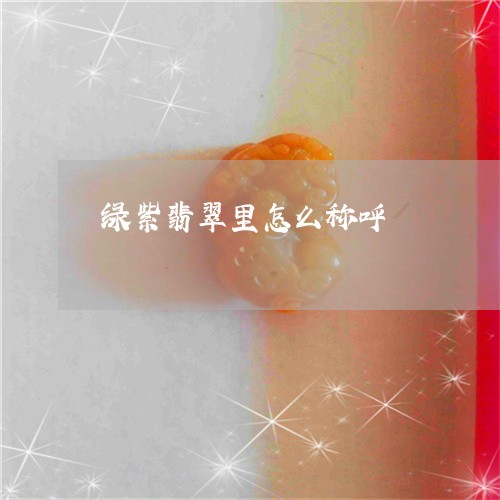 绿紫翡翠里怎么称呼/2023041316359 绿紫翡翠里怎么称呼/2023041316359