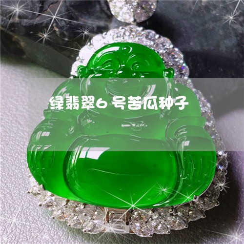 绿翡翠6号苦瓜种子/2023041336272