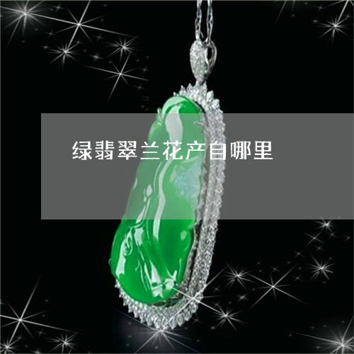 绿翡翠兰花产自哪里/2023041305160 绿翡翠兰花产自哪里/2023041305160