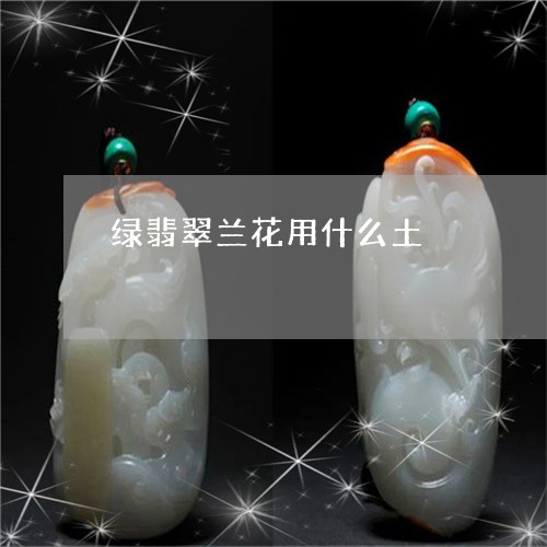 绿翡翠兰花用什么土/2023041395161