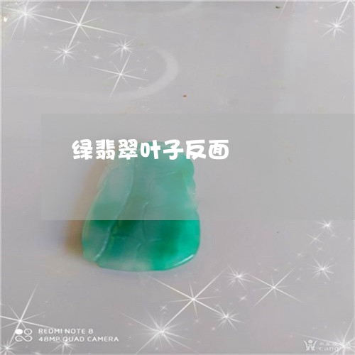 绿翡翠叶子反面/2023032959351 绿翡翠叶子反面/2023032959351