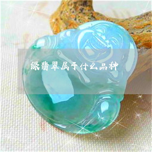 绿翡翠属于什么品种/2023041384840 绿翡翠属于什么品种/2023041384840
