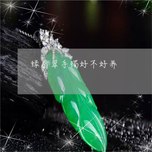 绿翡翠手镯好不好养/2023041364936