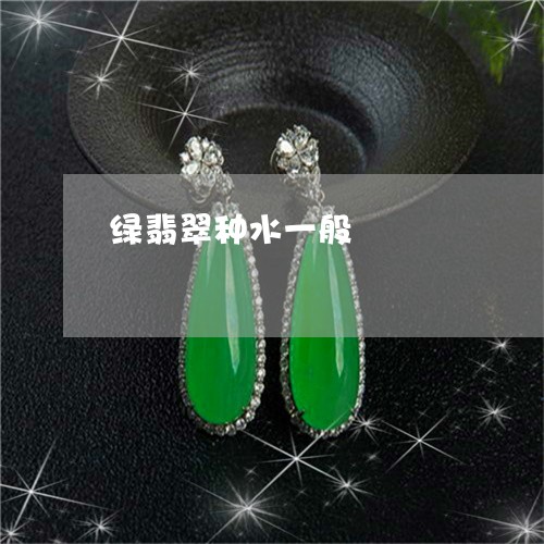绿翡翠种水一般/2023032984805 绿翡翠种水一般/2023032984805