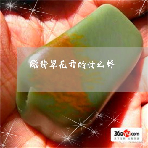 绿翡翠花开的什么样/2023041359825 绿翡翠花开的什么样/2023041359825