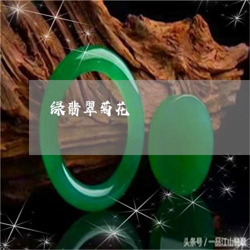 绿翡翠菊花/2023071495837