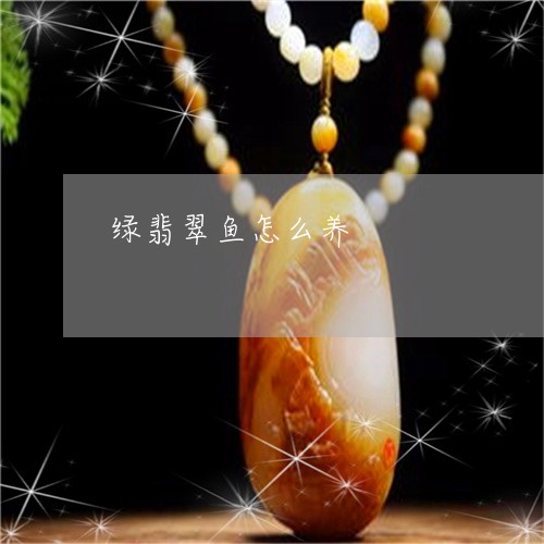 绿翡翠鱼怎么养/2023032934171 绿翡翠鱼怎么养/2023032934171