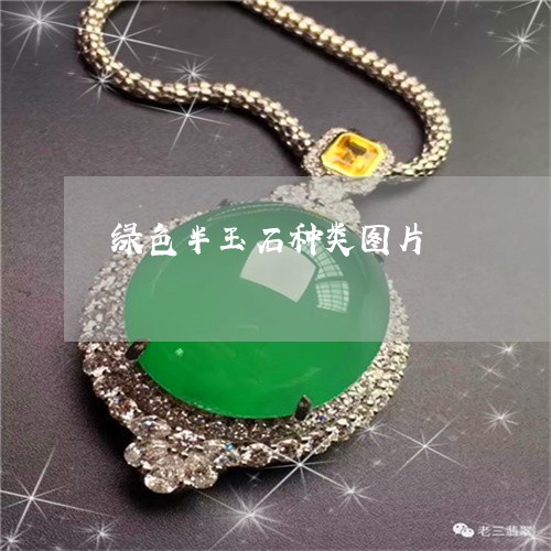 绿色半玉石种类图片/2023041362818 绿色半玉石种类图片/2023041362818