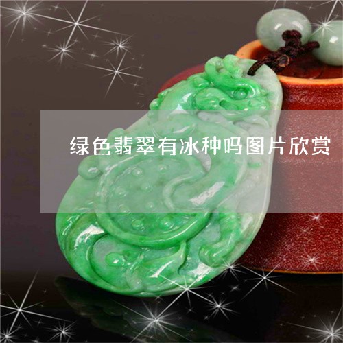 绿色翡翠有冰种吗图片欣赏/2023071195268