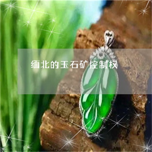 缅北的玉石矿控制权/2023041234958 缅北的玉石矿控制权/2023041234958