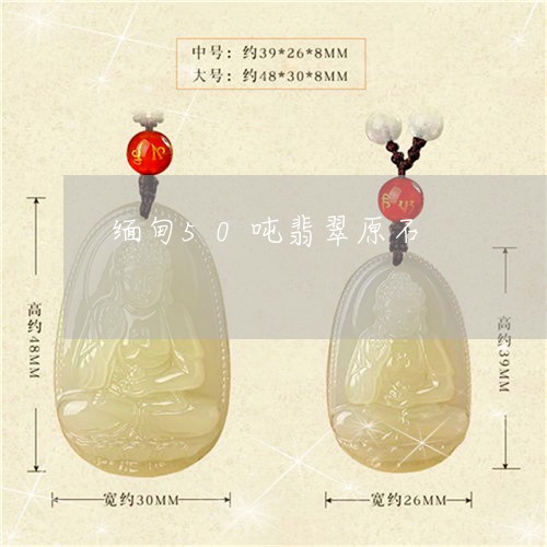 缅甸50吨翡翠原石/2023041291603