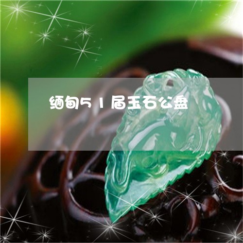 缅甸51届玉石公盘/2023041283949