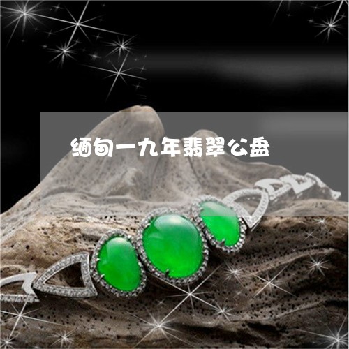 缅甸一九年翡翠公盘/2023041219729
