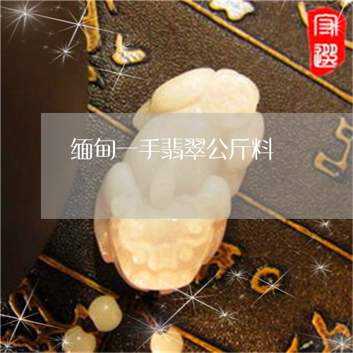 缅甸一手翡翠公斤料/2023041299415
