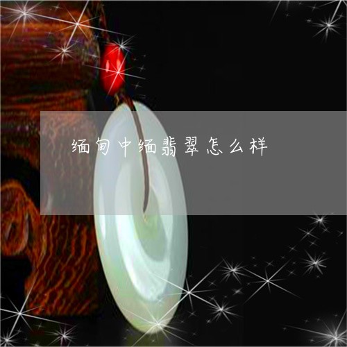 缅甸中缅翡翠怎么样/2023041202837