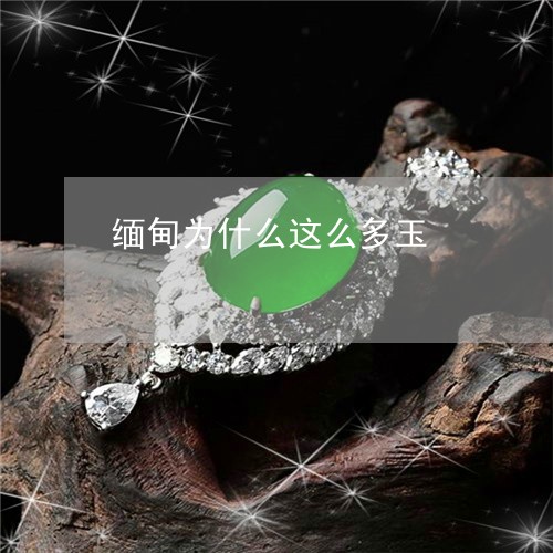 缅甸为什么这么多玉/2023041290492 缅甸为什么这么多玉/2023041290492