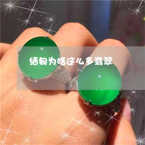 缅甸为啥这么多翡翠/2023041214928 缅甸为啥这么多翡翠/2023041214928