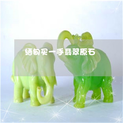 缅甸买一手翡翠原石/2023041236271 缅甸买一手翡翠原石/2023041236271