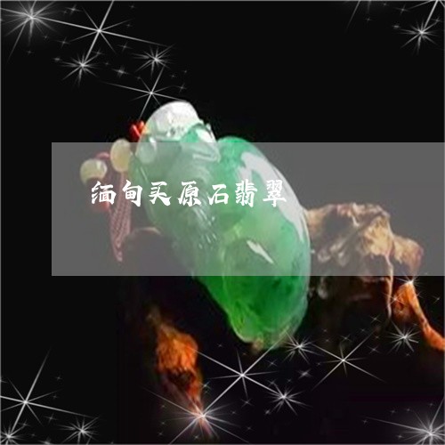 缅甸买原石翡翠/2023032835938 缅甸买原石翡翠/2023032835938