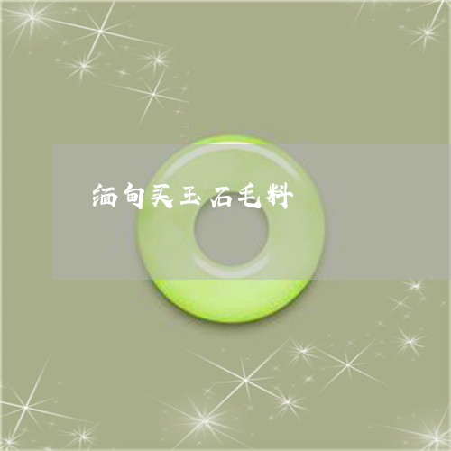 缅甸买玉石毛料/2023032892604 缅甸买玉石毛料/2023032892604