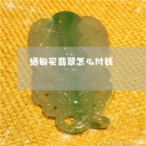 缅甸买翡翠怎么付钱/2023041281604 缅甸买翡翠怎么付钱/2023041281604