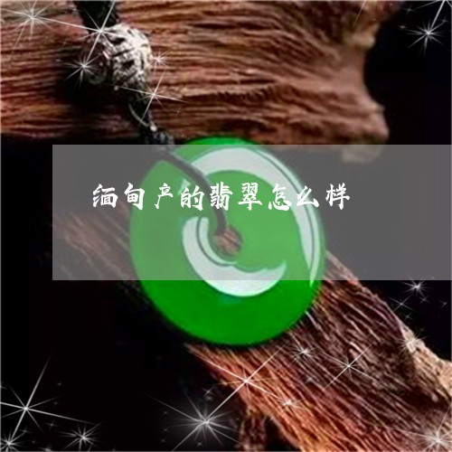 缅甸产的翡翠怎么样/2023041246494 缅甸产的翡翠怎么样/2023041246494