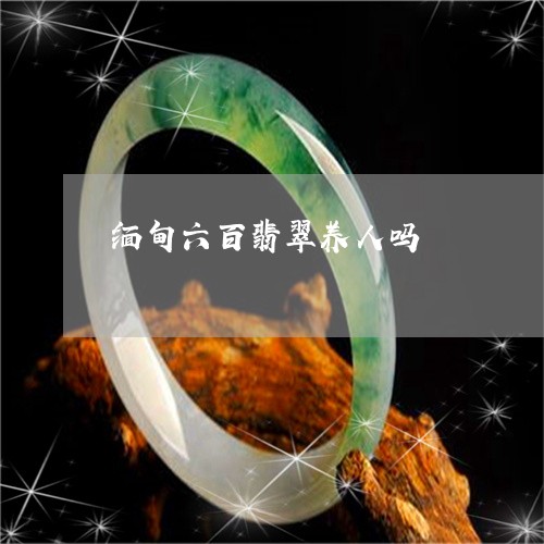 缅甸六百翡翠养人吗/2023041241605 缅甸六百翡翠养人吗/2023041241605