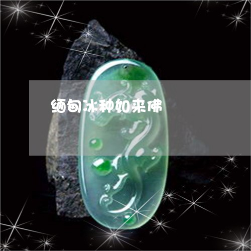 缅甸冰种如来佛/2023032838259 缅甸冰种如来佛/2023032838259
