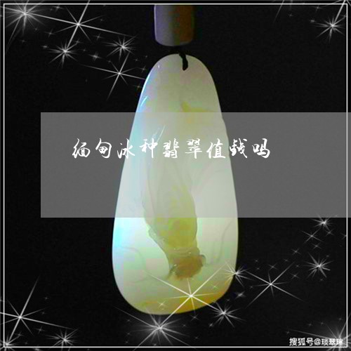 缅甸冰种翡翠值钱吗/2023041228382